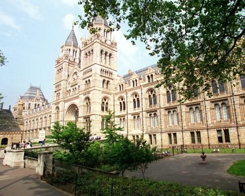 Zimbabwean Descendants Demand Return of Ancestors' Skulls - Descendants Of Zimbabwe Resistance Heroes Urge UK To Locate Looted Skulls