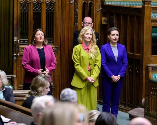 New Green MP Advocates for Inclusivity in Parliament - New Green MP Calls For Tolerance And Inclusivity In First Commons Speech