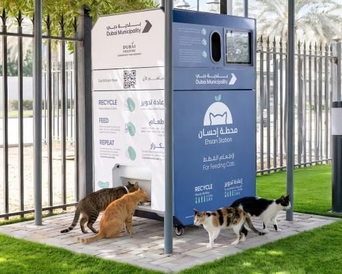 Pet Abandonment Surges in Dubai Amid Iran Conflict - Thousands Of Pets Being Abandoned In Dubai As Owners Flee Over Iran War