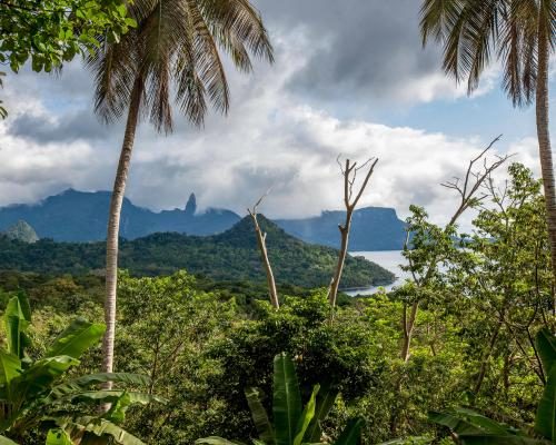 Príncipe Island Villagers to Receive Payments for Conservation Efforts - Villagers On Principe, The ‘African Galapagos’, To Be Paid For Protecting The Ecosystem