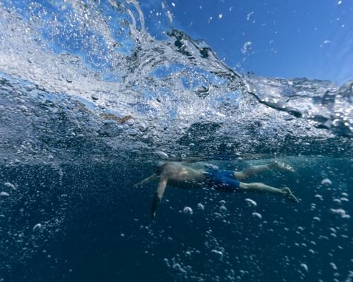 Jono Ridler's Epic Ocean Swim Highlights Marine Conservation - Dolphins, Stingers And ‘salt Tongue’: An Epic Ocean Swim Around New Zealand’s East Coast