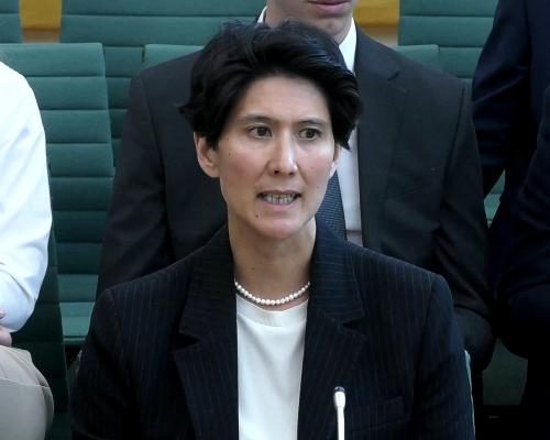 Audit Trail Unveils Dispute in Mandelson Vetting Saga - In Peter Mandelson Evidence, Cat Little Had The Best Weapon: An Audit Trail