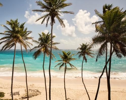 Visa Issues Derail London Couple's Dream Wedding in Barbados - The Bridesmaid Ban: How The Home Office Tarnished A British Citizen’s Big Day – And Cost Them £2,000