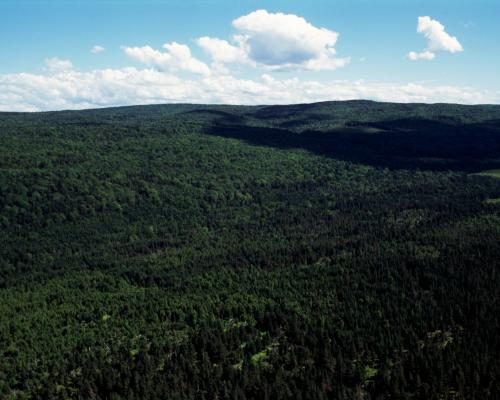 Nova Scotia Court Strikes Down Controversial Woods Ban - What Counts As The Woods? Judge Axes Nova Scotia’s Ban That Defied ‘commonsense Definitions’